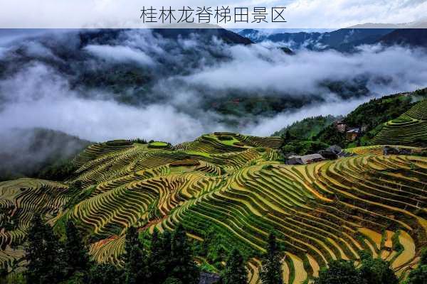 桂林龙脊梯田景区