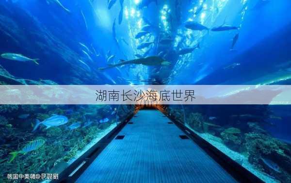 湖南长沙海底世界