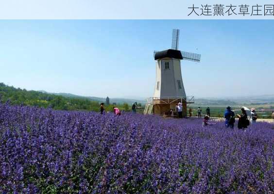 大连薰衣草庄园