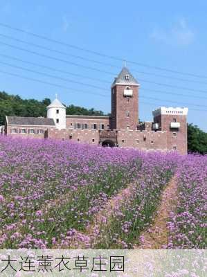 大连薰衣草庄园