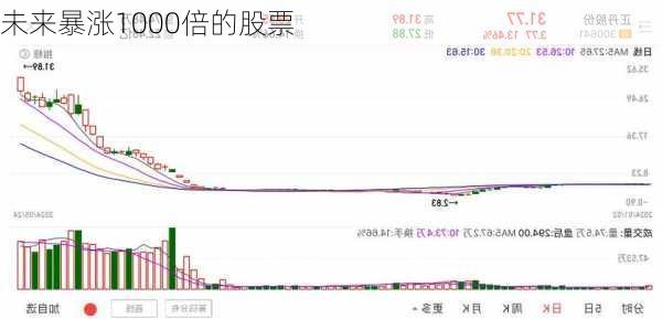 未来暴涨1000倍的股票