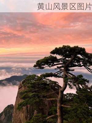 黄山风景区图片