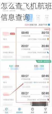 怎么查飞机航班信息查询