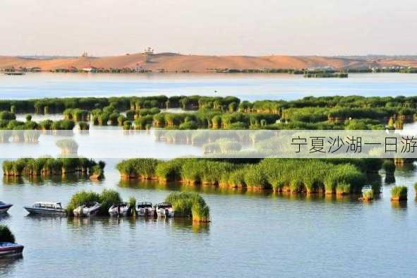 宁夏沙湖一日游