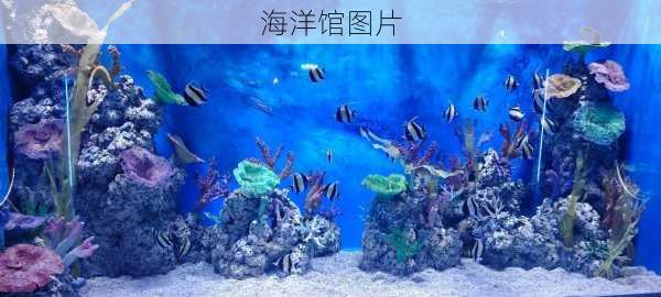 海洋馆图片